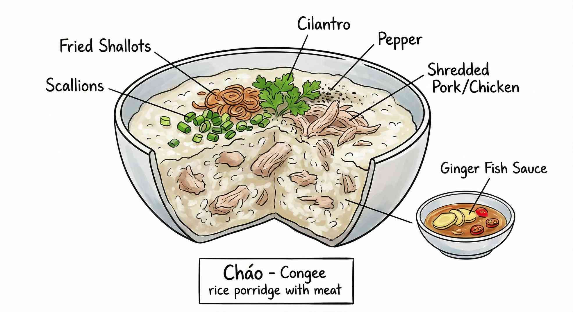 Cháo ingredients sketch